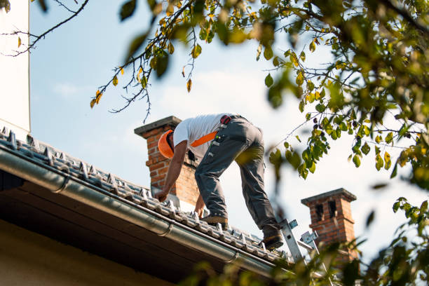 Best Roof Leak Repair  in Listoga, CA