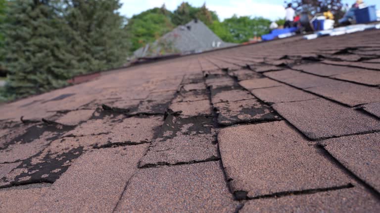 Best Green or Eco-Friendly Roofing Solutions  in Listoga, CA